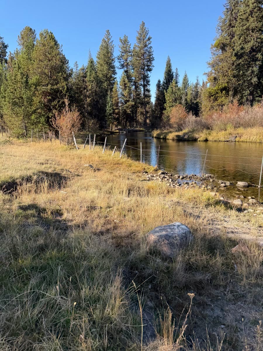 Lake Fork Creek running through the ranch