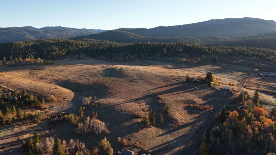 Open meadow with mountains behind